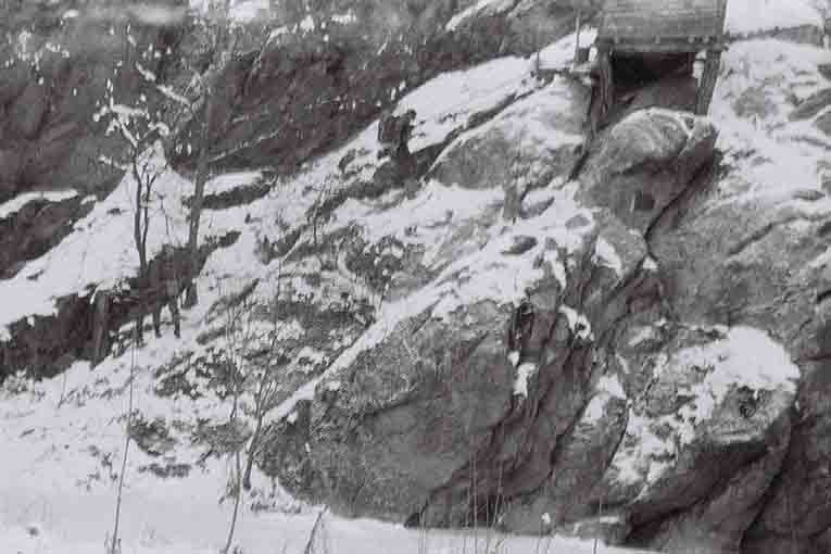 Níhov 21.-22.1.1984