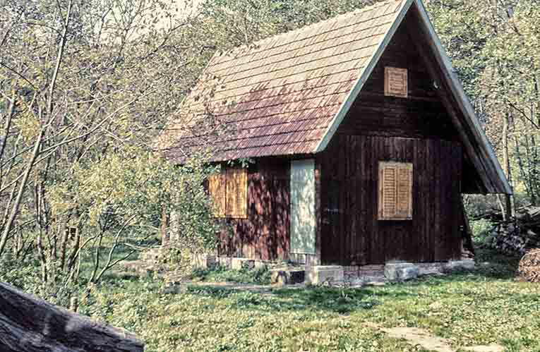Rakovec13